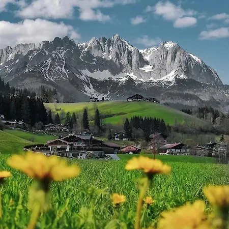 Alpine Haven, Kitzbuehel Alps